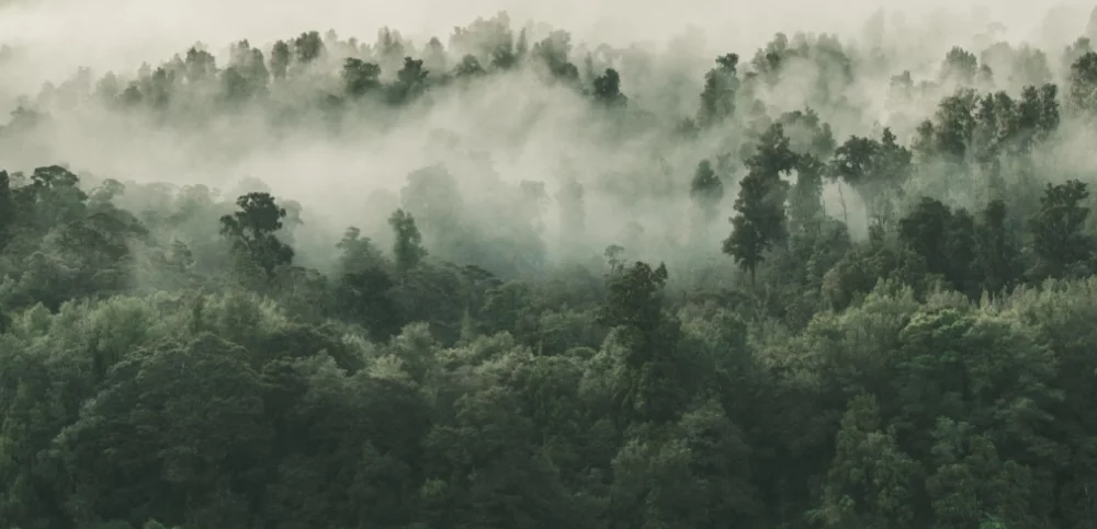 Temi ambientali