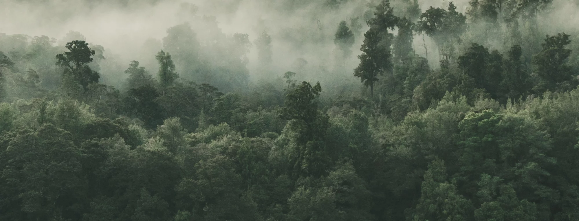 Temi ambientali